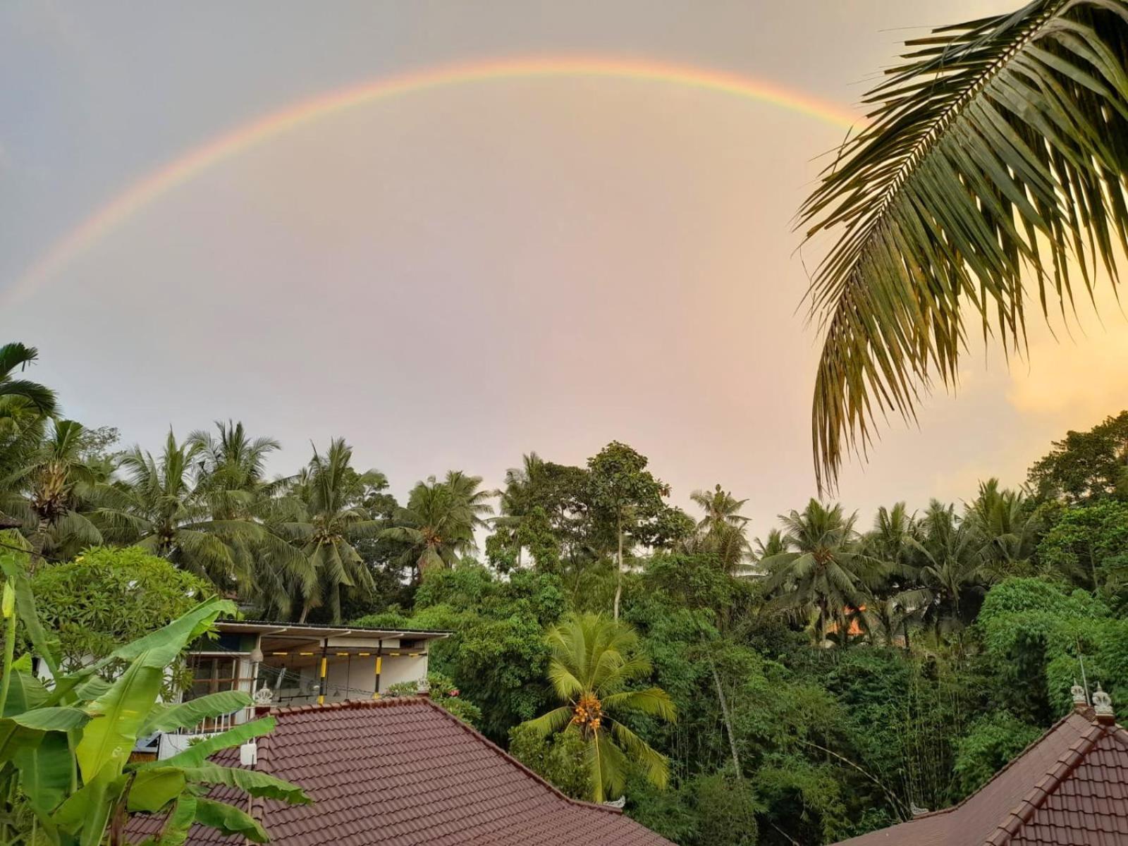 As I Am Ubud Retreat Экстерьер фото